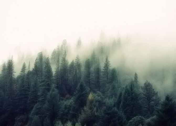 行业领先软件的免费网络电话在线使用